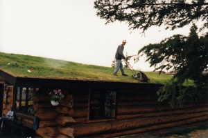 roof mow