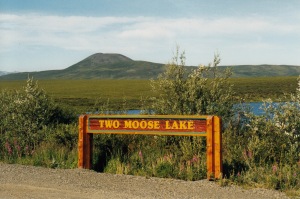 two moose lake