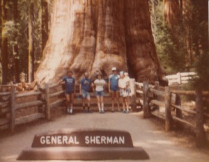 Gen. Sherman tree