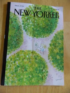 July 20 2015 New Yorker cover photo